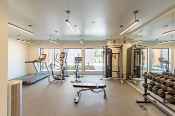 A well-lit gym with a variety of equipment including treadmills, exercise bikes, and dumbbells.at Rowat Lofts, Iowa, 50309
